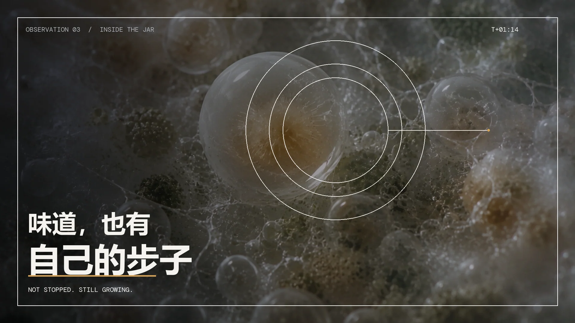 请勿快进 · 作品 3